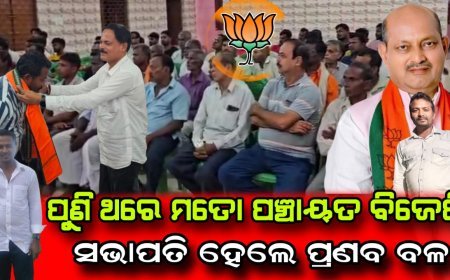 ପୁନର୍ବାର ପ୍ରଣବ ବଳ ହେଲେ ମତୋ ପଞ୍ଚାୟତର ବିଜେପି ସଭାପତି